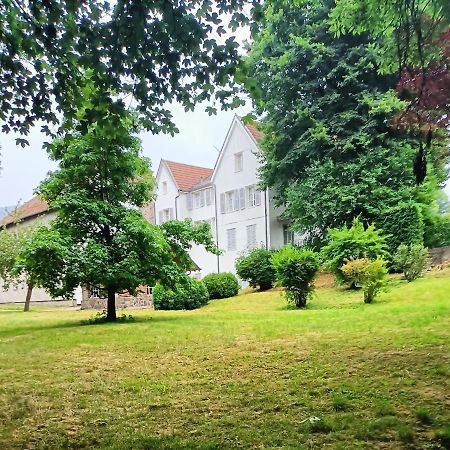 莫河畔圣莫利斯Domaine De La Moselle住宿加早餐旅馆 外观 照片