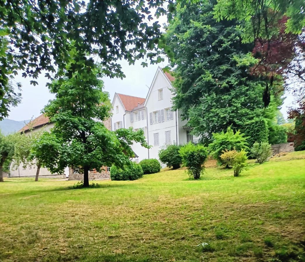莫河畔圣莫利斯Domaine De La Moselle住宿加早餐旅馆 外观 照片